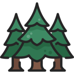 Forests